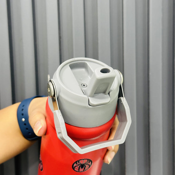 500 ml stainless steel bottle