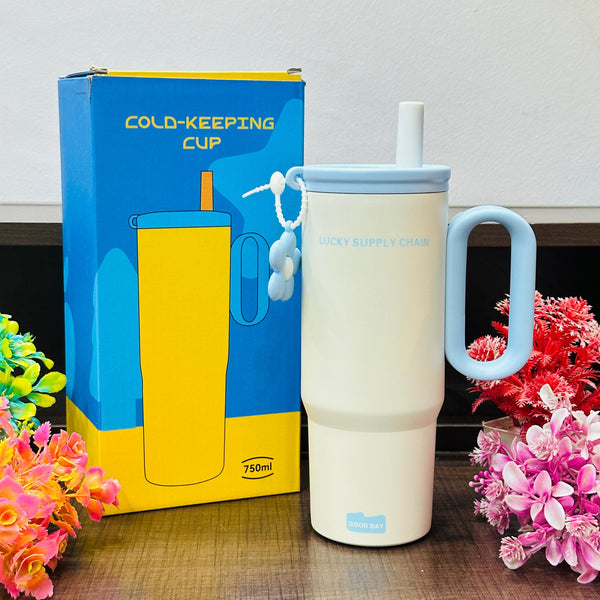 750 ml stainless steel tumblers