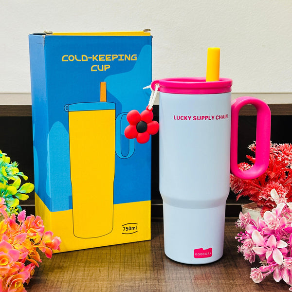 750 ml stainless steel tumblers