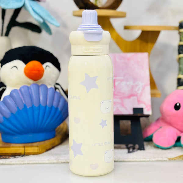 650 ml dual sipper stainless steel bottle