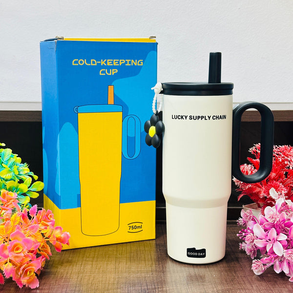 750 ml stainless steel tumblers