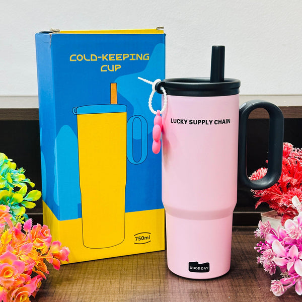 750 ml stainless steel tumblers